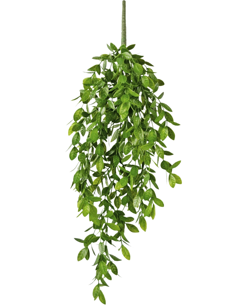 La plante artificielle suspendue Gardenia 61 cm est une plante artificielle suspendue avec des feuilles vertes luxuriantes et une seule tige visible, sur un fond blanc uni.