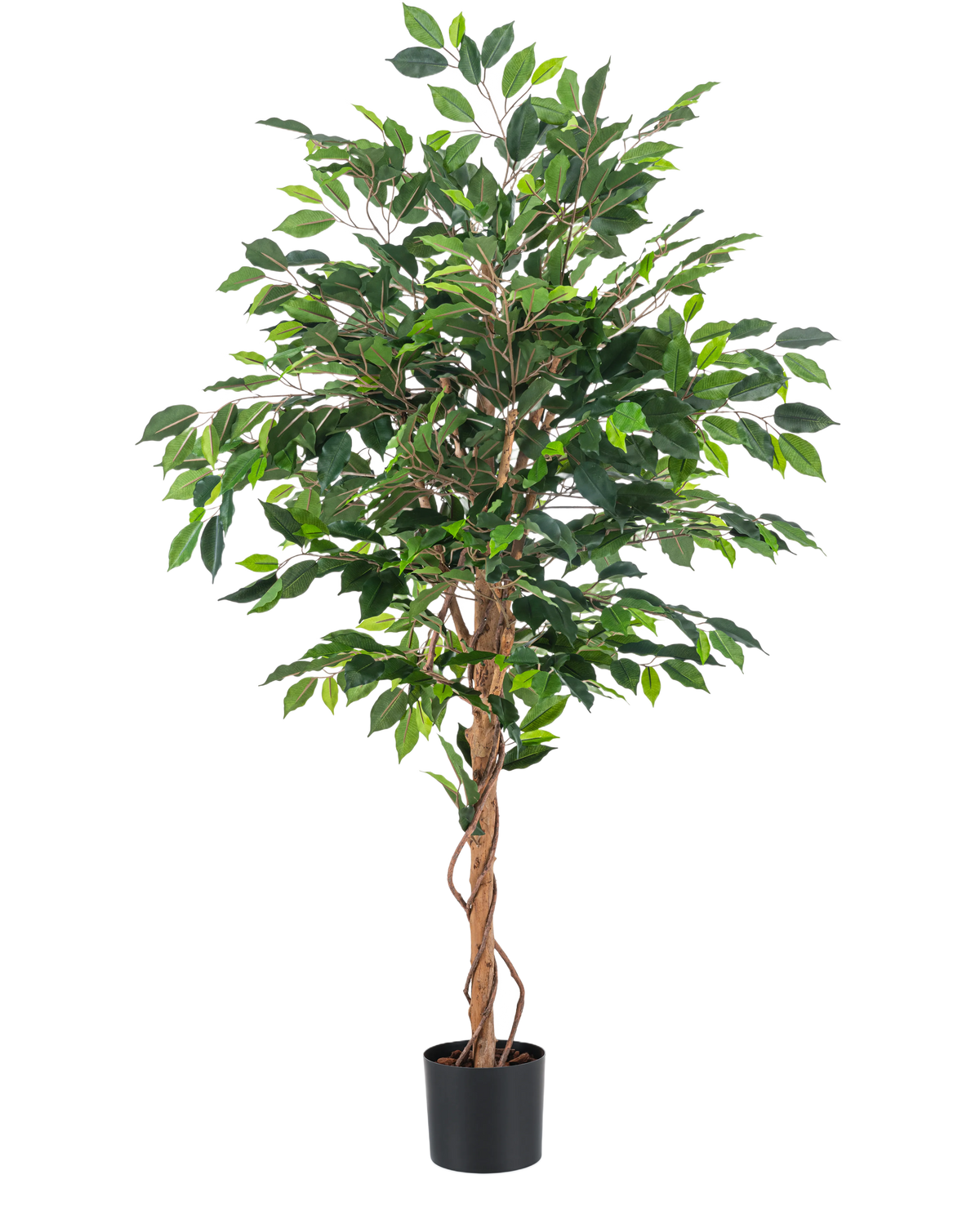 La Plante Artificielle Ficus Vert 150 cm possède plusieurs feuilles vertes et des tiges marron tressées dans un simple pot noir, sur un fond uni blanc.