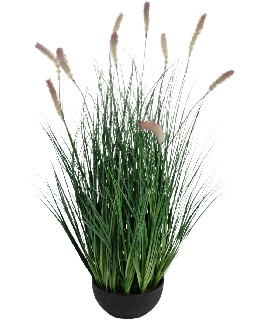 Le bonsaï d'herbe à oignon chenille à gazon artificiel est une plante de gazon artificiel ignifuge de 70 cm de haut avec de fines lames vertes et des épis de fleurs marron clair dans un pot rond noir, parfait pour un intérieur élégant.