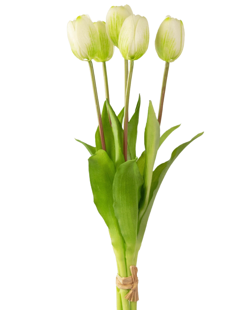 Le bouquet de tulipes artificielles Real Touch vert/blanc 40 cm comprend cinq tulipes blanches réalistes avec des tiges et des feuilles vertes, liées ensemble avec de la ficelle, sur un simple fond blanc.