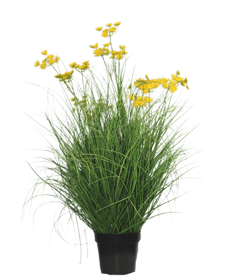 Le gazon artificiel Asteraceae 90 cm ignifuge présente des feuilles longues et fines ressemblant à de l'herbe et des bouquets de petites fleurs jaune vif sur de longues tiges, sur un fond blanc uni.