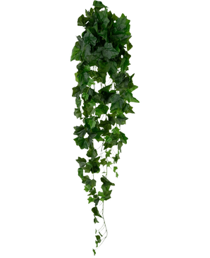 Le lierre artificiel vert de 105 cm a des feuilles vertes denses qui tombent, créant un effet de lierre luxuriant sur un fond blanc uni.