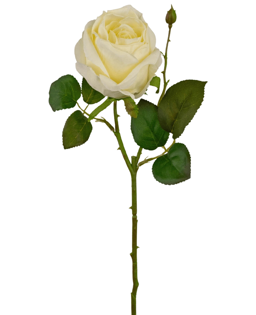 La Rose Artificielle Deluxe 45 cm blanche est une rose artificielle blanche simple avec des feuilles vertes et un petit bouton sur une longue tige, sur un fond blanc uni.