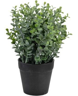 La Plante Artificielle Pumila 23 cm est une petite plante verte en pot avec des feuilles rondes dans un simple pot noir, représentée sur un fond blanc.