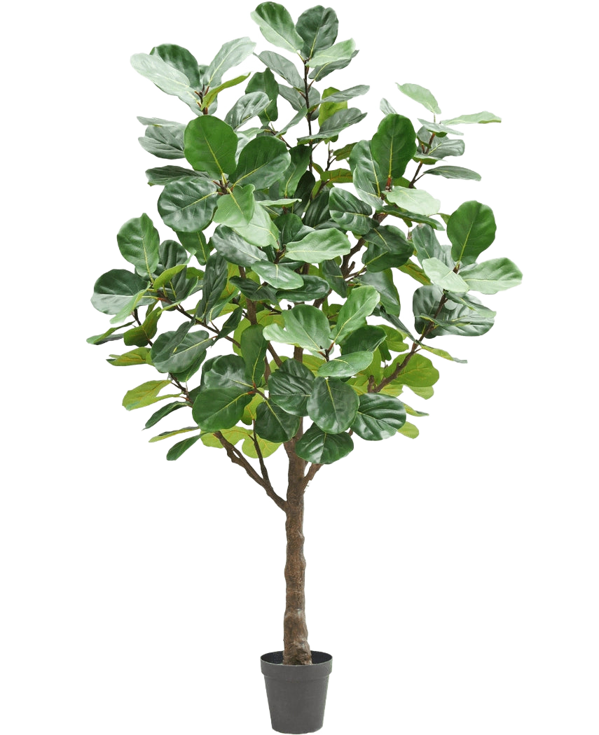 L'arbre à tabac artificiel 270 cm est un grand arbre artificiel avec de grandes feuilles vertes luxuriantes et un tronc marron robuste, dans un petit pot noir sur un fond blanc uni.