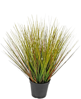 Le gazon artificiel oignon 50 cm ignifuge a des feuilles hautes et fines, semblables à de l'herbe, vertes et jaunâtres avec des reflets brun rougeâtre, rapprochées et s'éventant vers l'extérieur dans un pot en plastique noir.
