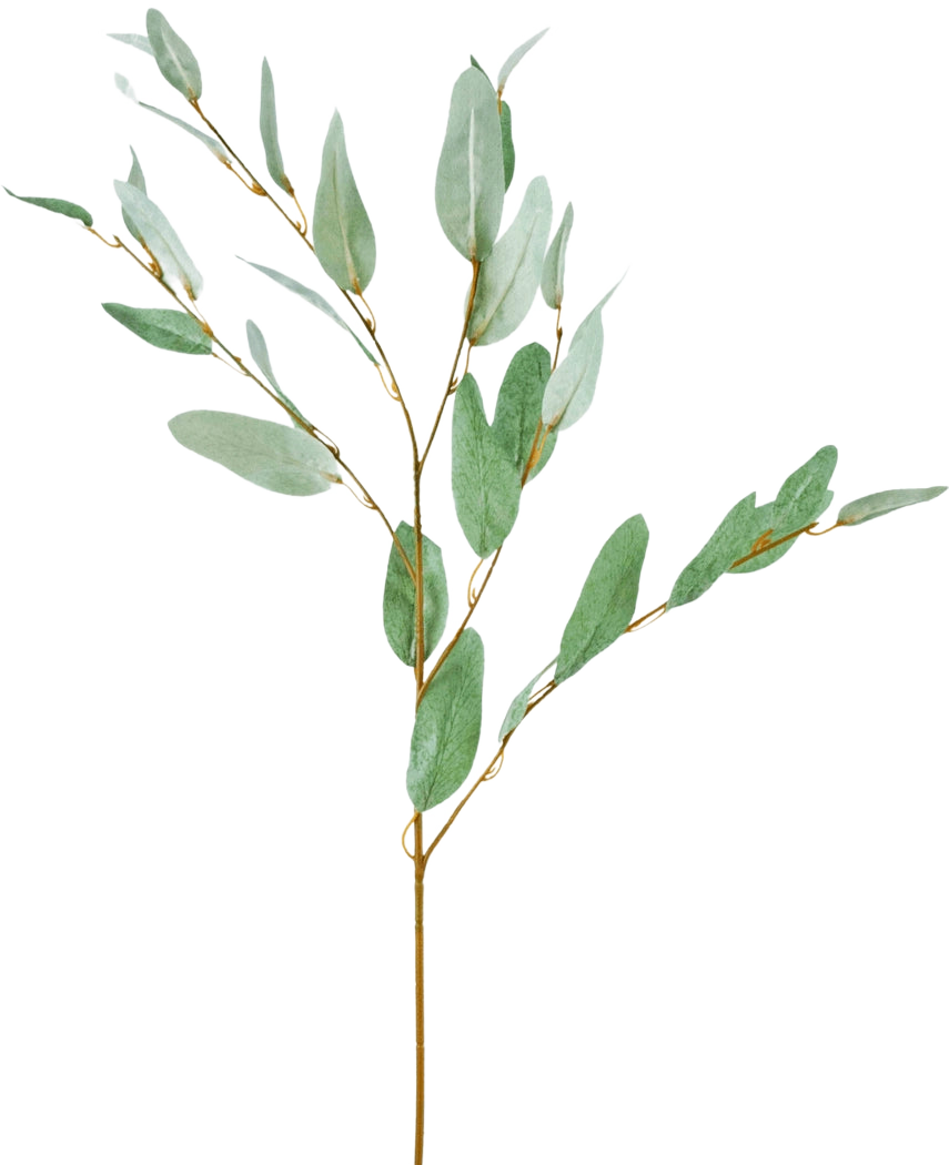 La Branche Artificielle Eucalyptus 86 cm vert possède une seule branche d'eucalyptus décorative avec de fines feuilles de soie verte et de fines tiges brunes, isolées sur un fond blanc.
