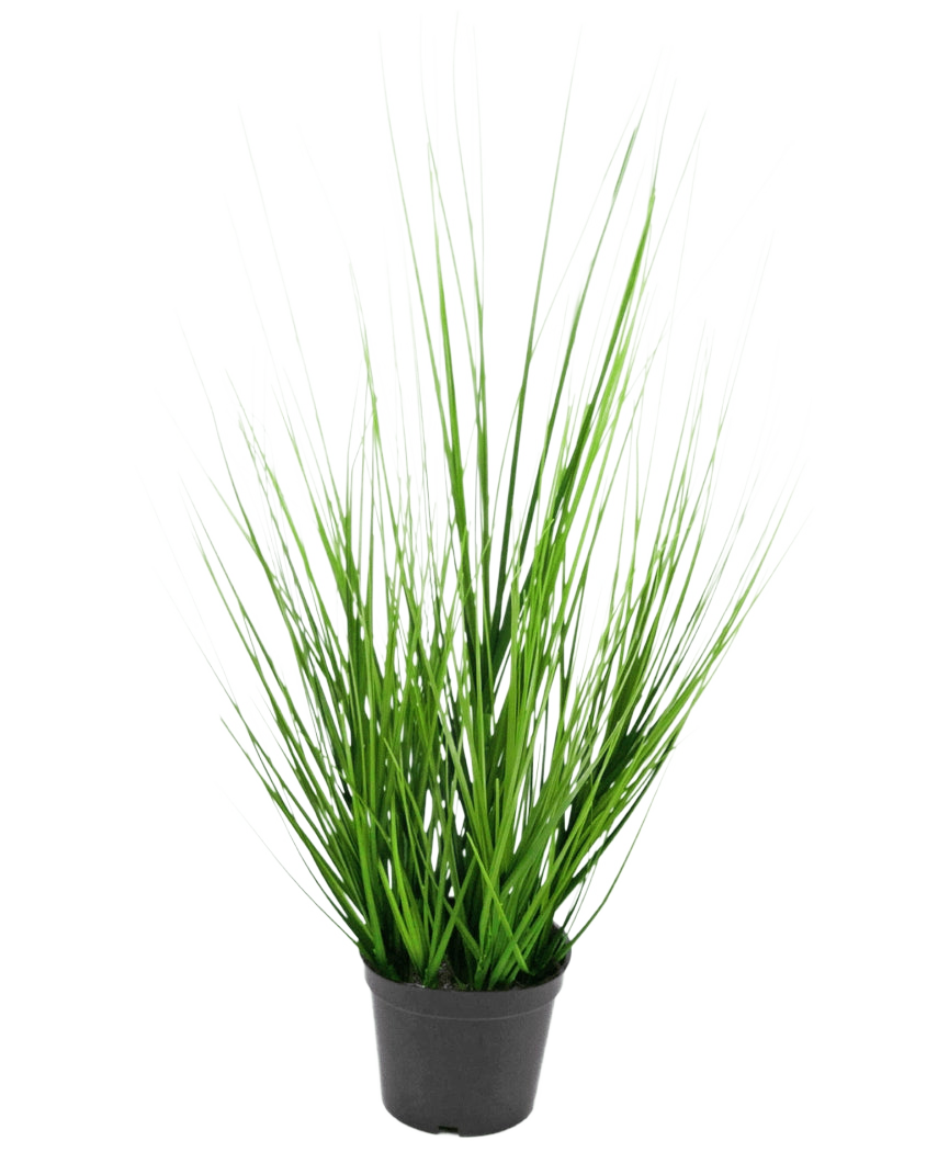 Le gazon artificiel oignon 48 cm ignifuge est un petit pot en plastique noir avec de longues feuilles fines et vibrantes ressemblant à de l'herbe verte sur un fond blanc uni.