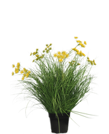 Le gazon artificiel Asteraceae 70 cm ignifuge a de longues et fines feuilles vertes et des bouquets de petites fleurs jaunes dans un pot noir, ce qui en fait un gazon artificiel nécessitant peu d'entretien sur un fond blanc uni.