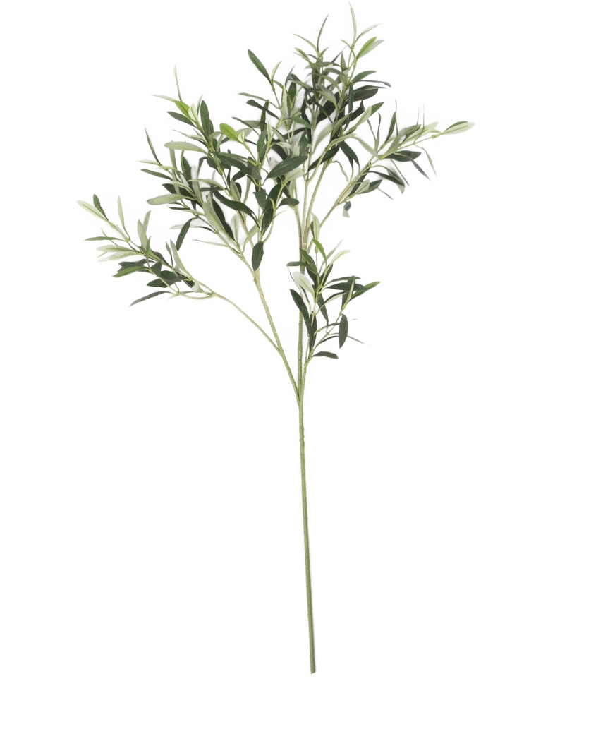 La Feuille d'olivier artificielle 90 cm UV, aux fines feuilles vertes et à la longue tige, se détache sur un fond blanc pour une subtile ambiance méditerranéenne.