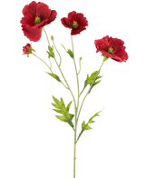 Le Pavot Artificiel Real Touch Rouge 65 cm a une seule tige avec trois coquelicots rouges vifs et des feuilles vertes, magnifiquement présentées sur un fond blanc uni.