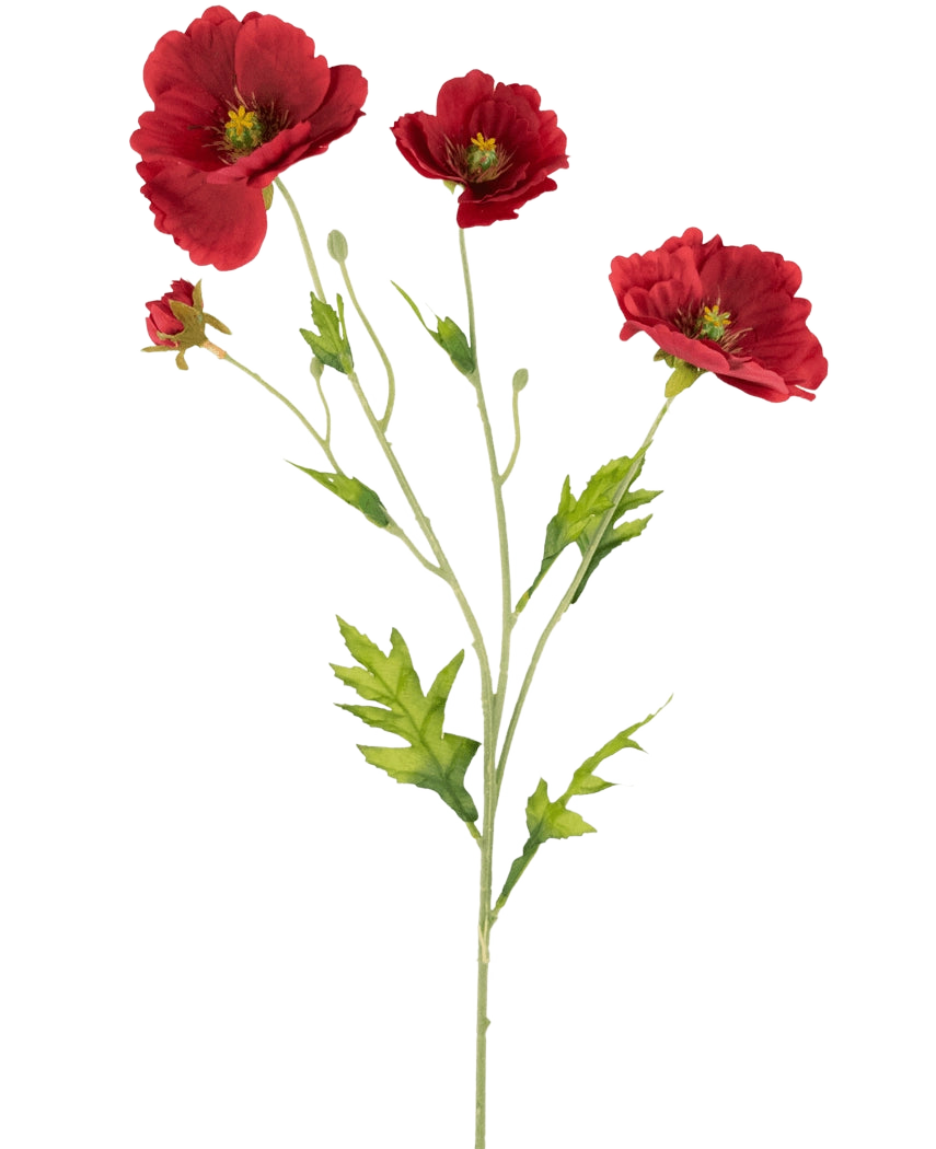 Le Pavot Artificiel Real Touch Rouge 65 cm a une seule tige avec trois coquelicots rouges vifs et des feuilles vertes, magnifiquement présentées sur un fond blanc uni.