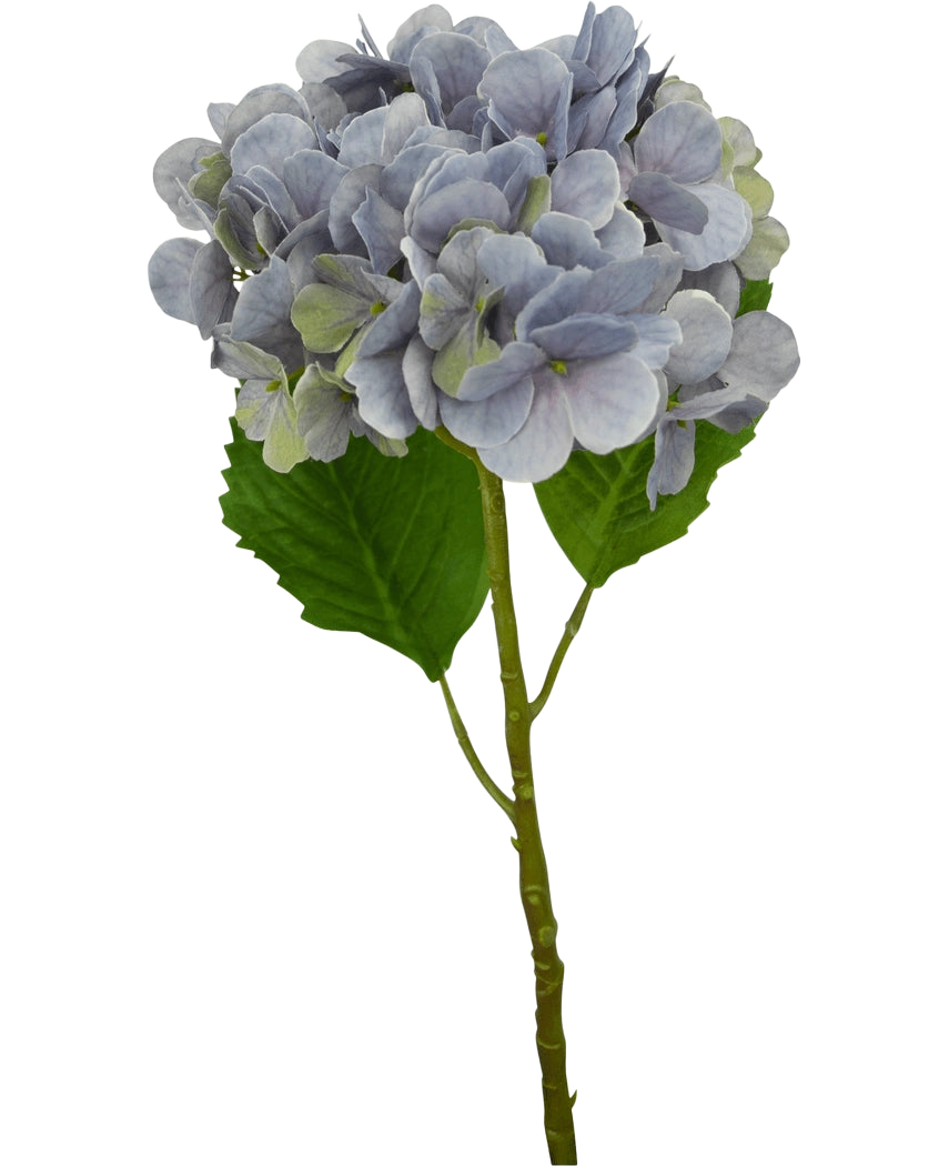 Une seule tige d'hortensia artificielle Deluxe de 57 cm lilas avec des pétales violet clair et deux grandes feuilles vertes, isolées sur un fond blanc.