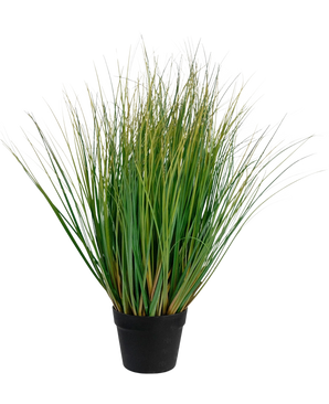 Le bonsaï d'oignon et d'herbe artificielle avec pot est une plante de gazon artificiel ignifuge de 70 cm de haut avec de longues brins verts dans un pot noir, sur un fond blanc uni.