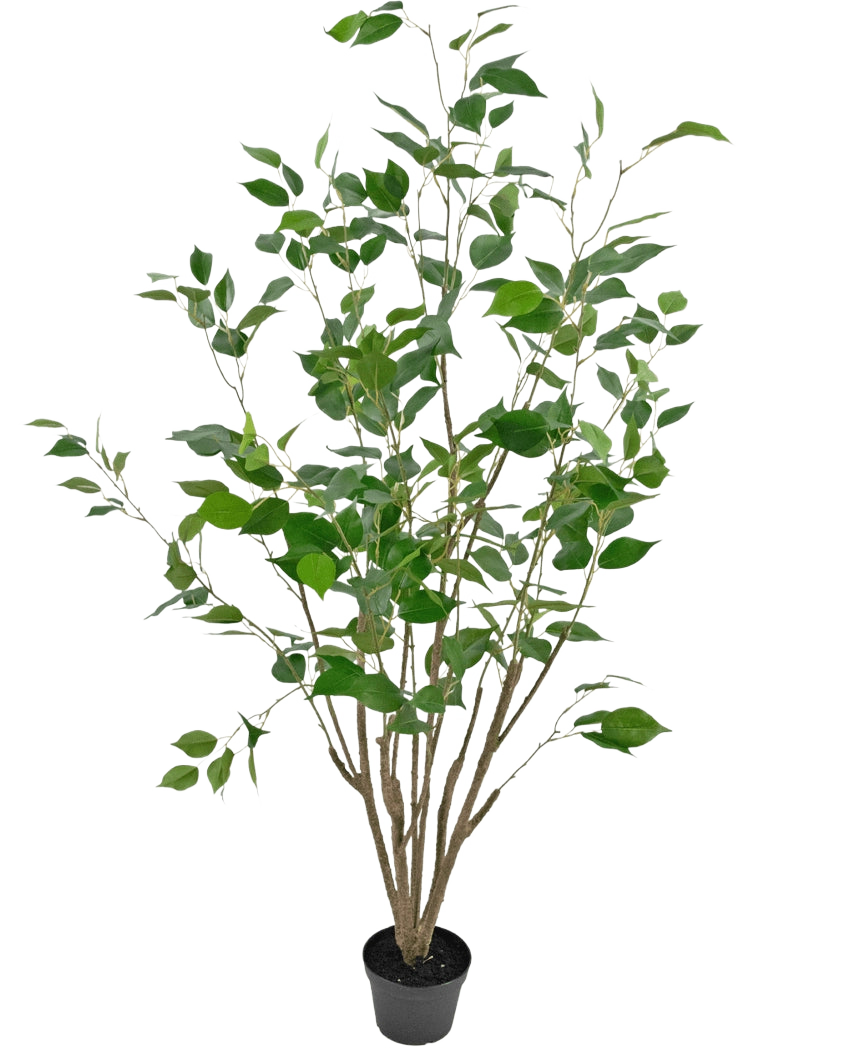 La plante artificielle Ficus 120 cm est une grande plante artificielle en pot avec de multiples tiges fines brunes et des feuilles vertes luxuriantes, dans un pot noir compact sur un fond blanc uni.