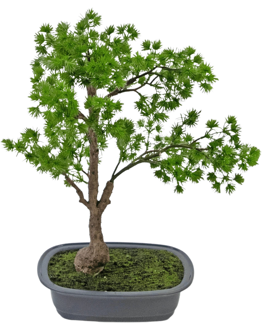 La plante artificielle Bonsaï Genévrier 40 cm a un tronc élancé et des feuilles vertes luxuriantes et se trouve dans un pot gris rectangulaire peu profond avec de la mousse. Le fond est blanc uni.