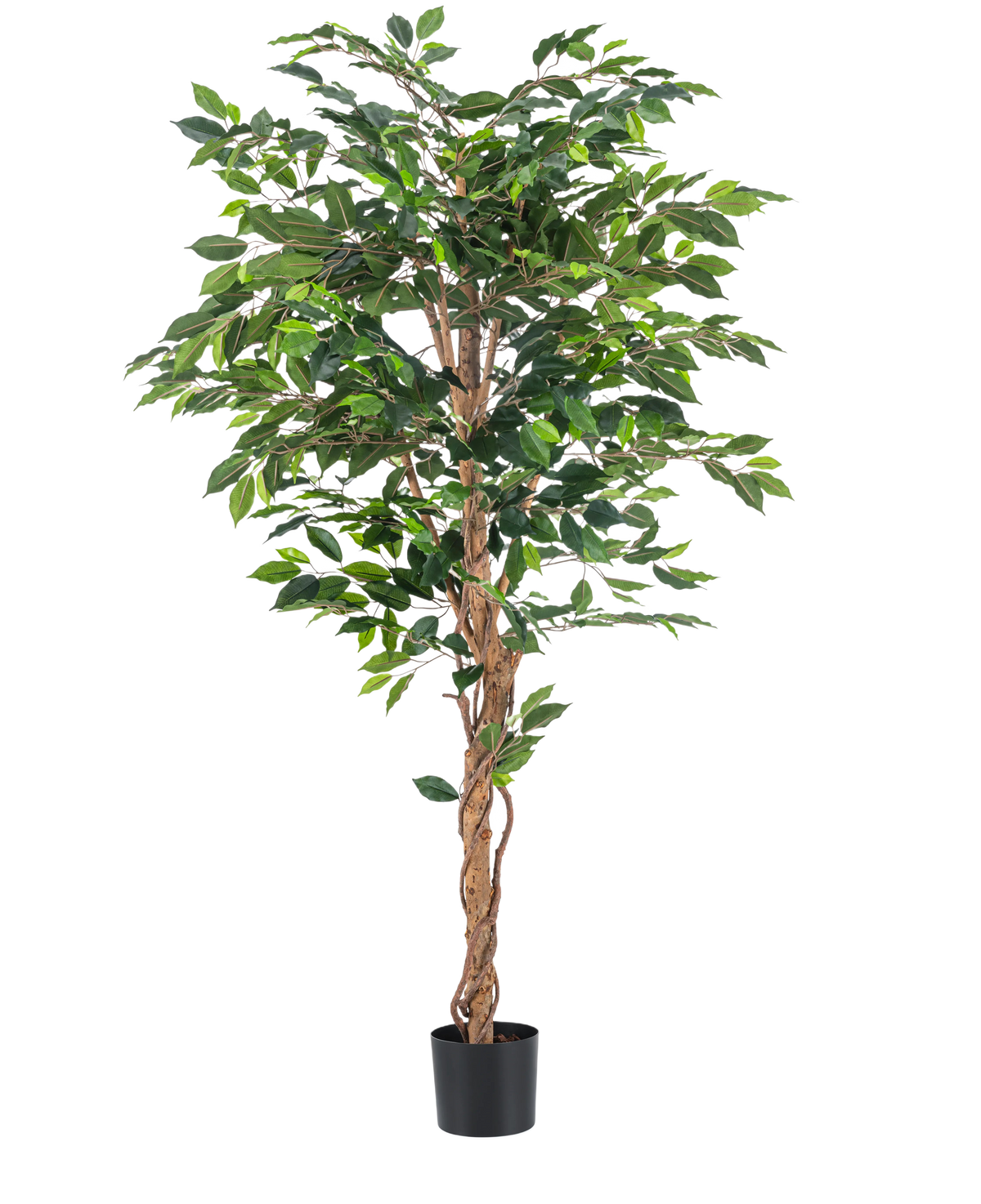 La plante artificielle Ficus Green 180 cm a des feuilles vertes luxuriantes et une tige brune torsadée dans un simple pot noir, sur un fond blanc - idéale à combiner avec des pots décoratifs élégants.