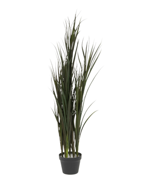 Le gazon artificiel Bordeaux UV 120 cm est un gazon artificiel haut avec de fines tiges vertes dans un simple pot noir, sur un fond blanc uni.