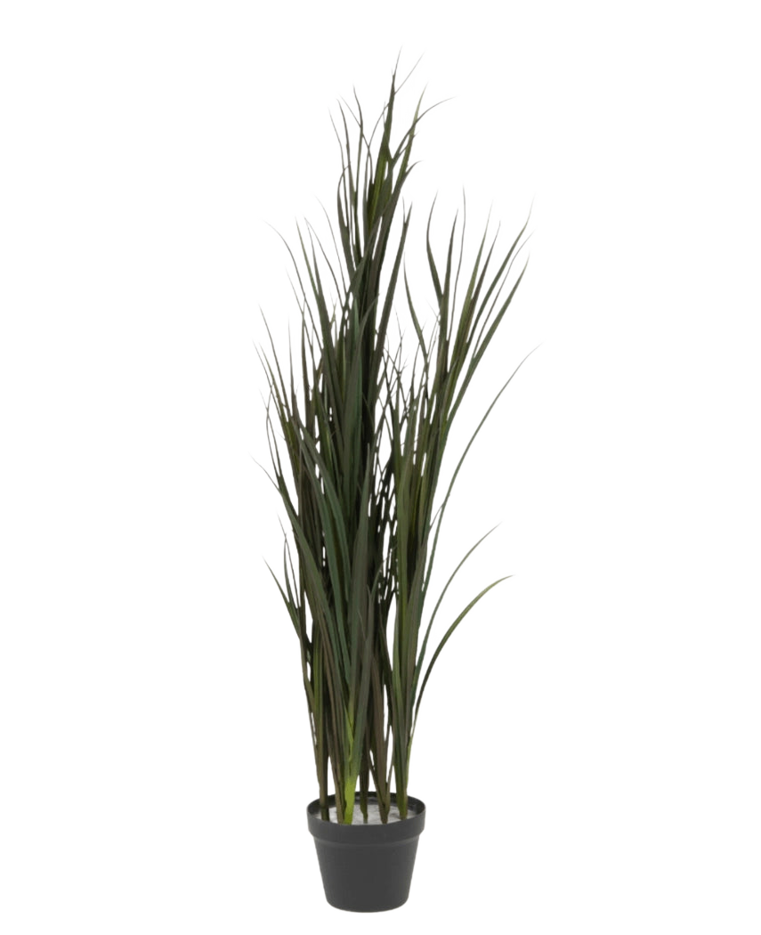 Le gazon artificiel Bordeaux UV 120 cm est un gazon artificiel haut avec de fines tiges vertes dans un simple pot noir, sur un fond blanc uni.