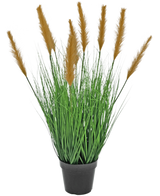 Le gazon artificiel d'autruche 80 cm ignifuge possède de longues et fines lames vertes et de hautes plumes brunes dans un pot noir, sur un fond blanc - idéal pour les amateurs de plantes artificielles.