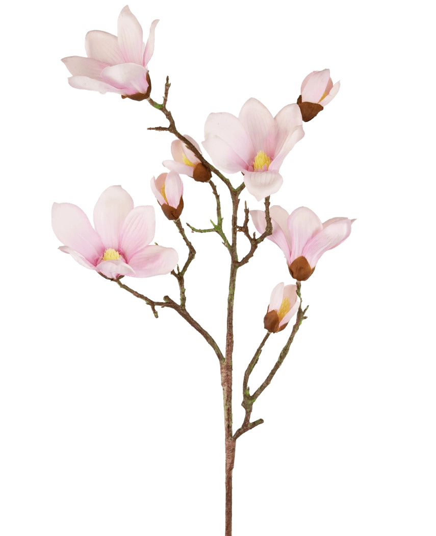 La Branche de Magnolia Artificielle Real Touch Rose 98 cm présente plusieurs fleurs et bourgeons de magnolia rose clair aux pétales doux, un cœur jaune et des tiges marron, le tout sur un fond blanc.