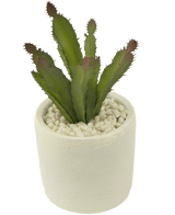 La plante succulente artificielle de 20 cm est une plante succulente verte à pointes rougeâtres dans un pot en céramique blanche rempli de cailloux blancs, représentée sur un fond blanc uni.