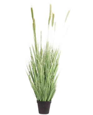 Plante de gazon artificiel vert 160 cm ignifuge a des lames longues et minces et des têtes de graines dans un petit pot noir. Idéale comme fausse plante élégante et ignifuge pour n’importe quelle pièce.