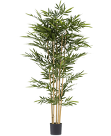 La Plante Artificielle Bambou 210 cm est un grand bambou artificiel avec de fines feuilles vertes et plusieurs tiges jaunes, dans un petit pot noir sur fond blanc.