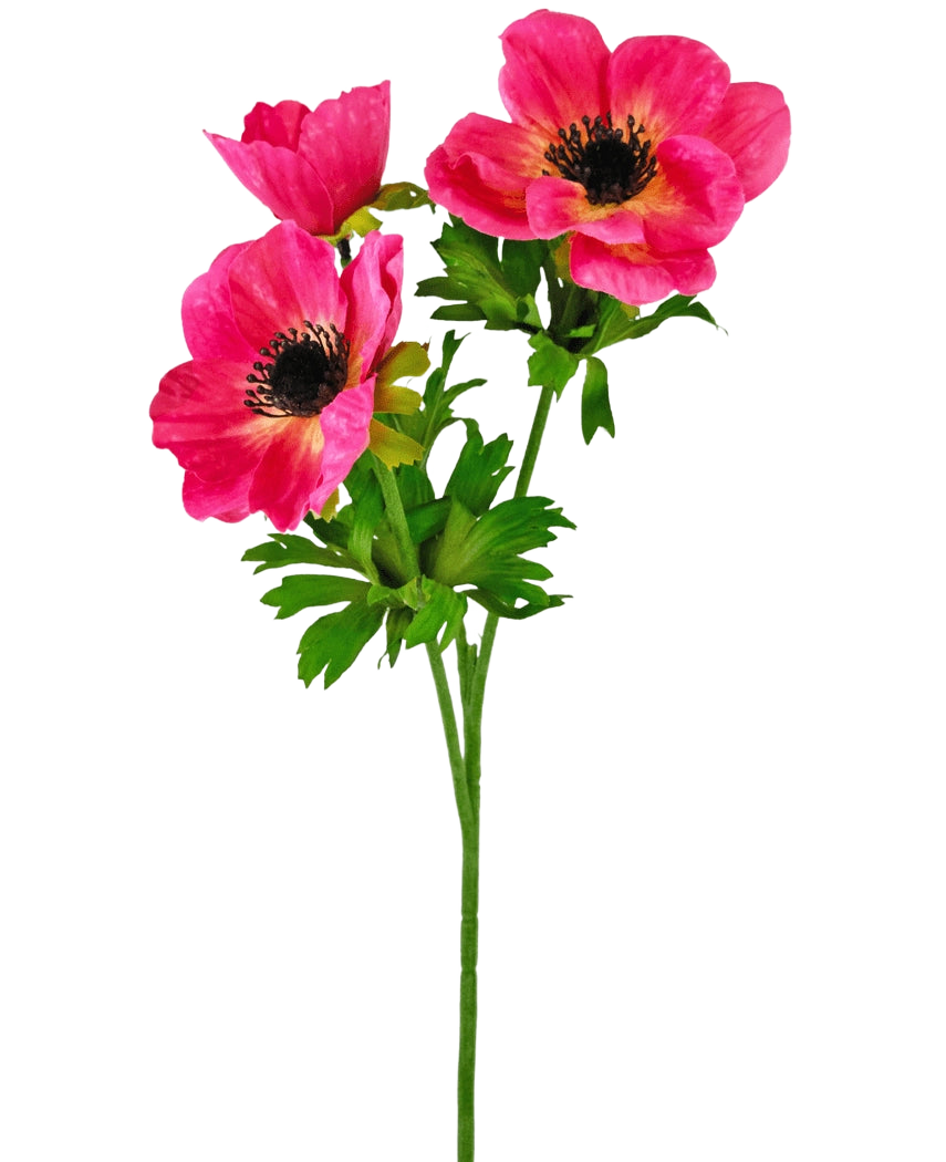 La fleur artificielle Anémone ramifiée 56 cm rose a une seule tige verte avec trois fleurs d'anémone rose vif au cœur sombre et aux pétales délicats et rugueux, ainsi que des feuilles vertes, sur un fond blanc uni.
