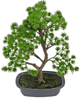 La plante artificielle Bonsaï Genévrier 30 cm a des feuilles denses vert vif et un tronc torsadé, dans un pot gris peu profond avec de la terre sombre, sur un fond blanc uni.