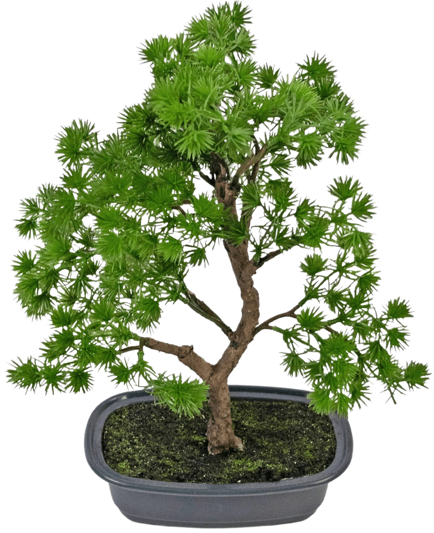 La plante artificielle Bonsaï Genévrier 30 cm a des feuilles denses vert vif et un tronc torsadé, dans un pot gris peu profond avec de la terre sombre, sur un fond blanc uni.