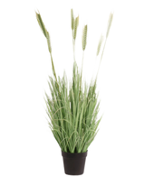 Le Gazon Artificiel Plante Vert 130 cm ignifuge possède de longues feuilles vertes fines et de longues tiges ressemblant à du blé dans un petit pot noir, sur un fond blanc.