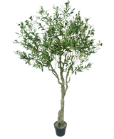 L'olivier artificiel 200 cm a un tronc mince brun clair, de nombreuses feuilles vertes et de petites olives foncées sur les branches. Cet olivier artificiel semble réaliste sur un fond blanc.