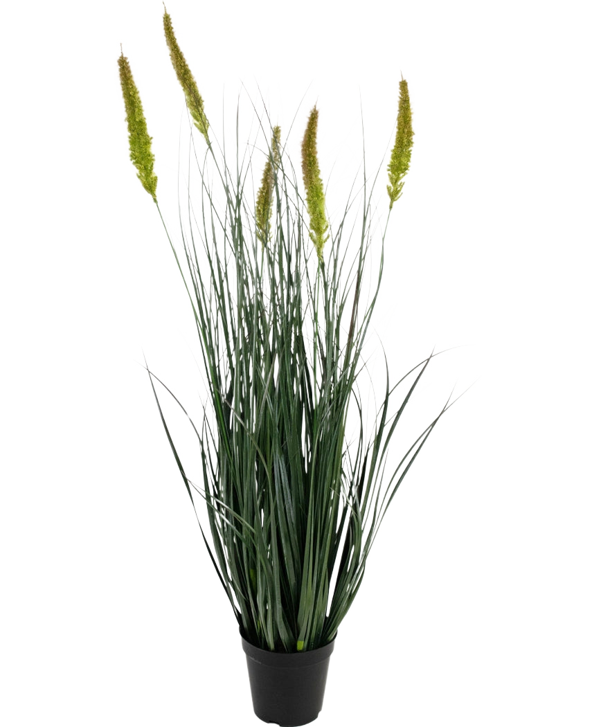 Le pot de gazon artificiel quenouille d'oignon de 90 cm ignifuge est une plante de gazon artificiel en pot avec de longues feuilles vertes minces et plusieurs têtes de graines hautes, jaune-vert sur un fond blanc uni.