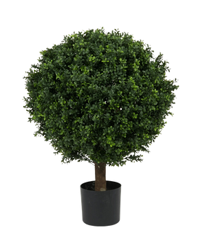 Le Buis Artificiel sur tige style Romain UV 85 cm est un arbre artificiel rond et feuillu vert au feuillage dense et au tronc unique, dans un pot simple noir sur fond blanc uni.