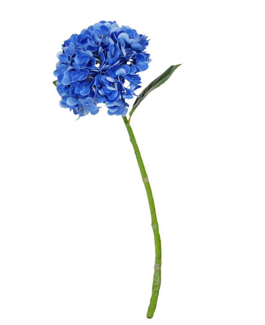 La Fleur Artificielle Charlotte Hortensia Real Touch bleu foncé est un hortensia artificiel bleu unique avec tige et feuilles vertes, de 55 cm de haut, isolé sur fond blanc.