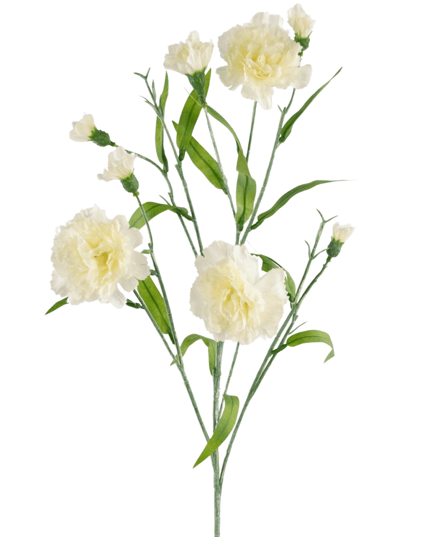Le bouquet d'œillets artificiels 70 cm blanc a une tige avec plusieurs fleurs d'œillets blanches et des feuilles vertes sur un fond blanc uni.