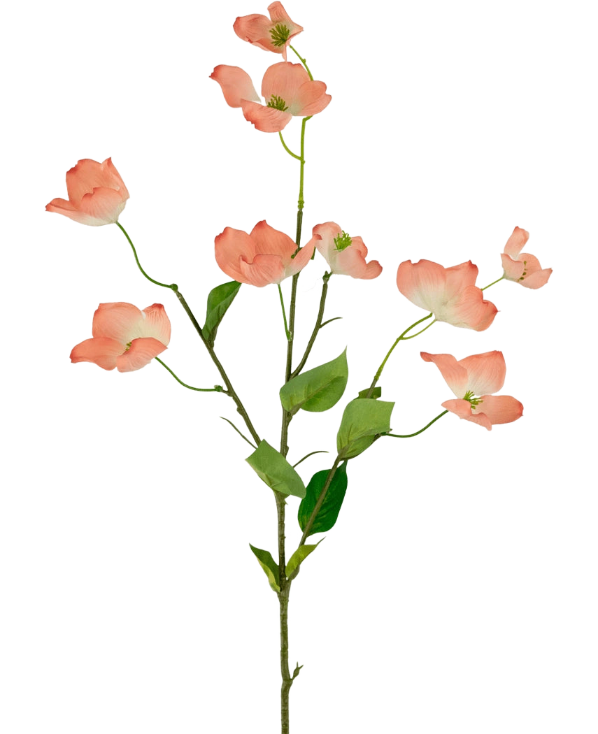 Le Cornouiller Artificiel Real Touch Rose Clair 74 cm possède une tige unique avec de multiples branches, chacune décorée de fleurs de cornouiller rose clair et de feuilles vertes, sur un fond blanc uni.