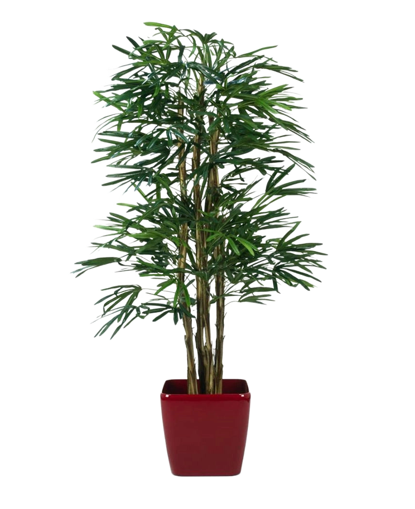 Le palmier artificiel Lady 180 cm est un grand palmier artificiel avec de multiples tiges de feuilles vertes, présenté dans un pot carré rouge brillant sur un fond blanc uni.
