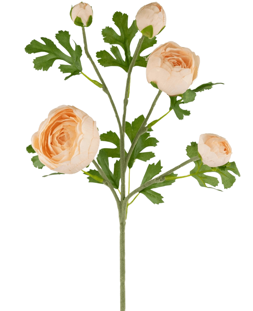 La branche de renoncule artificielle x5 Real Touch rose 62 cm possède une tige avec trois renoncules entièrement fleuries couleur pêche et deux bourgeons, accentués par des feuilles vertes profondément lobées, le tout sur un fond blanc.