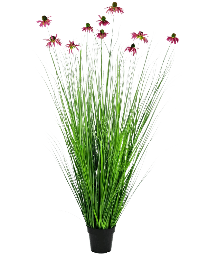 Le gazon artificiel chrysanthème 150 cm ignifuge a de longues et fines feuilles vertes ressemblant à de l'herbe et de longues tiges avec des fleurs roses ressemblant à des marguerites, présentées dans un pot sur un fond blanc uni.