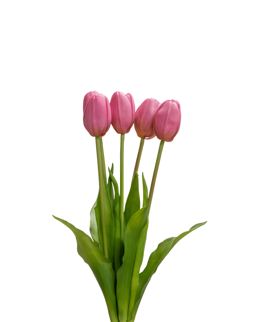 Le bouquet de tulipes artificielles Real Touch Violet 40 cm comprend quatre tulipes violettes avec des feuilles et des tiges vertes réalistes, qui se dressent debout sur un fond blanc uni.