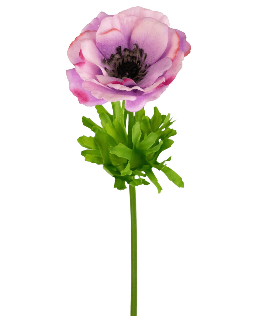 L'Anémone Artificielle Real Touch violette 52 cm possède une seule anémone violette et rose avec des pétales délicats, un cœur sombre, des feuilles vert vif et une longue tige, sur un fond blanc.