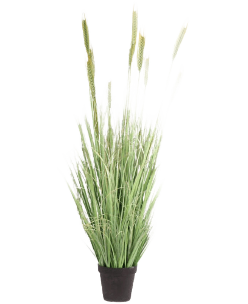 Plante de gazon artificiel vert 160 cm ignifuge a des lames longues et fines et des têtes de graines dans un petit pot noir. Idéale comme fausse plante élégante et ignifuge pour n'importe quelle pièce.