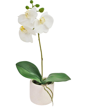 L'orchidée artificielle Real Touch 30 cm blanche présente des fleurs d'orchidées blanches réalistes et des feuilles vertes dans un petit pot blanc, parfait pour ajouter de l'élégance à n'importe quel espace.