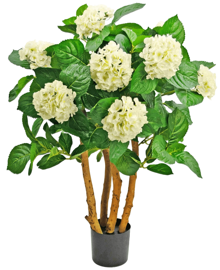 L'hortensia artificiel UV 85 cm blanc est une plante artificielle en pot avec des tiges brunes robustes, de grandes feuilles vertes et des bouquets de fleurs blanches ressemblant à des hortensias au sommet.