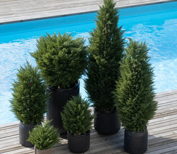 Plante artificielle extérieur UV : pourquoi c'est essentiel