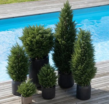 Plante artificielle extérieur UV : pourquoi c'est essentiel
