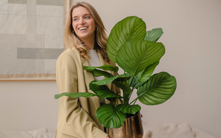 Les plantes artificielles sont-elles écologiques ?