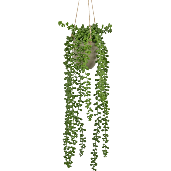 Plantes suspendues artificielles